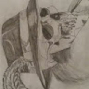 Meet your Posher, Leonel